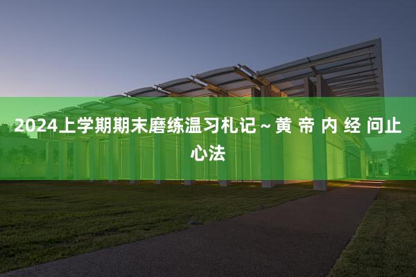 2024上学期期末磨练温习札记～黄 帝 内 经 问止心法