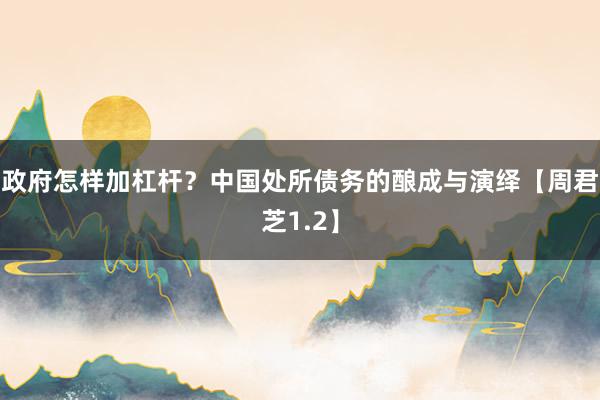 政府怎样加杠杆？中国处所债务的酿成与演绎【周君芝1.2】