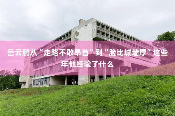 岳云鹏从“走路不敢昂首”到“脸比城墙厚”这些年他经验了什么