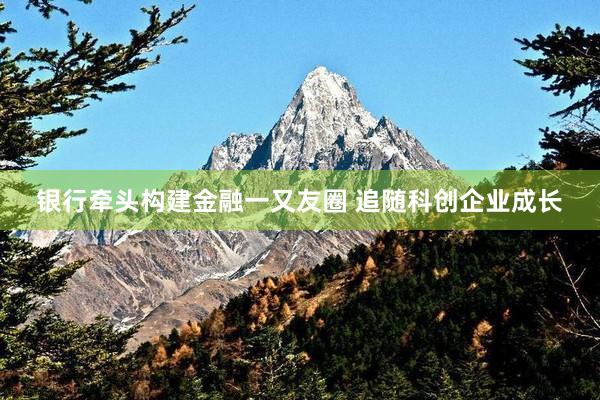 银行牵头构建金融一又友圈 追随科创企业成长