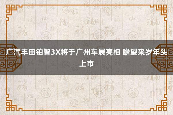 广汽丰田铂智3X将于广州车展亮相 瞻望来岁年头上市