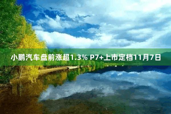 小鹏汽车盘前涨超1.3% P7+上市定档11月7日