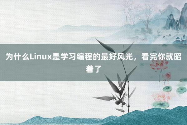 为什么Linux是学习编程的最好风光，看完你就昭着了