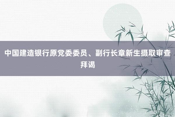 中国建造银行原党委委员、副行长章新生摄取审查拜谒